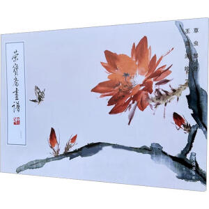 �s���S���V