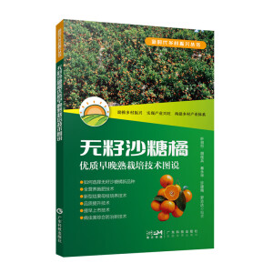 �o��ɳ���ك�(y��u)�|(zh��)���������༼�g(sh��)�D�f