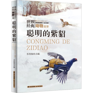 ��������