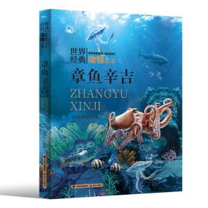 ���~����