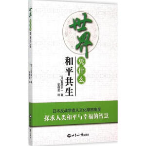 ����{ʲô��ƽ����