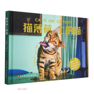 ؈�����ϵ�؈