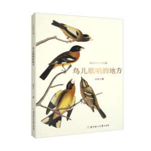 �B���質�ĵط�