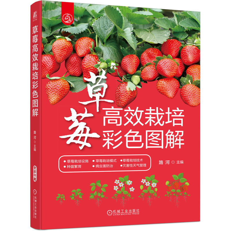 ��ݮ��Ч�����ɫ�D��