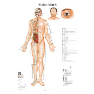 �����Ѩλ��D