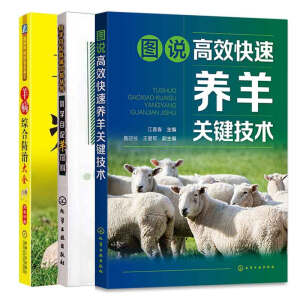 �D�f��Ч�����B(y��ng)���P�I���g