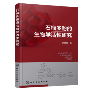 ʯ���ӵ�����W(xu��)�����о�