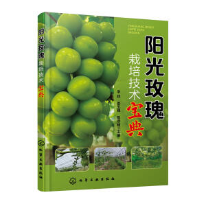 ꖹ�õ�����༼�g(sh��)����