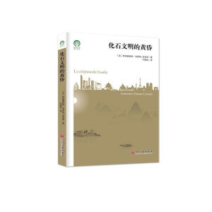 ��ʯ�������S��