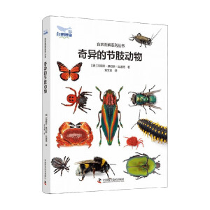 �殐�Ĺ�(ji��)֫����