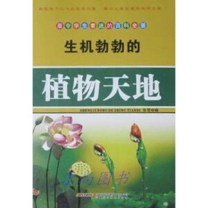 ���C������ֲ�����