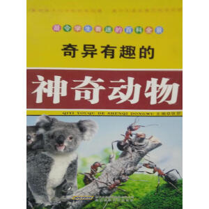 �殐��Ȥ�������(d��ng)��