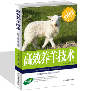 ��Ч�B(y��ng)���g(sh��)