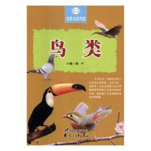 �B(ni��o)�(l��i)