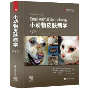 С��(d��ng)��Ƥ�w���W(xu��)