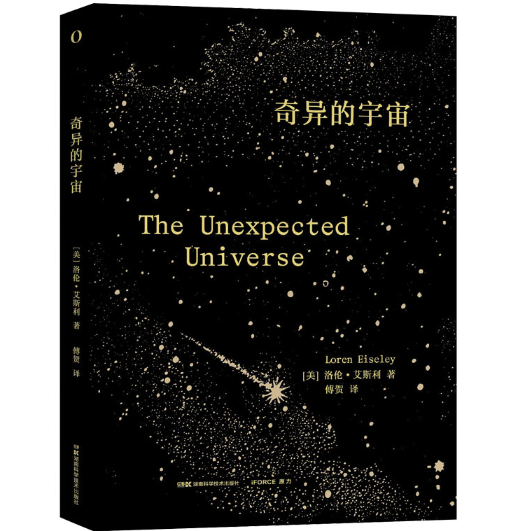 �殐������