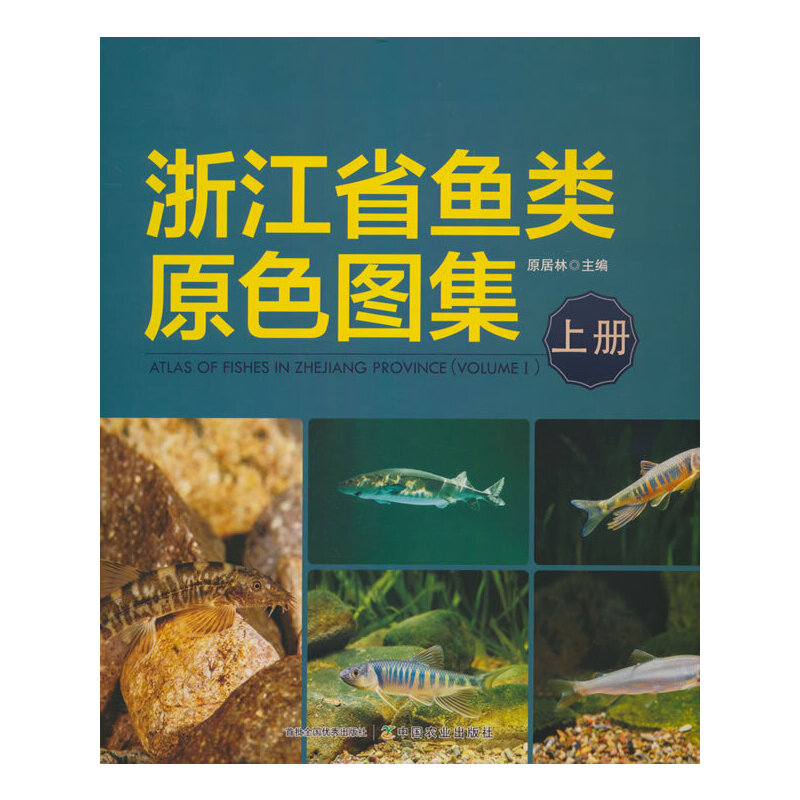 �㽭ʡ�~�ԭɫ�D�����σԣ�