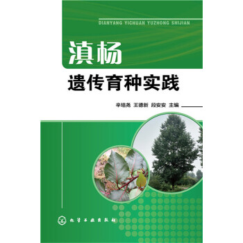 ����z�����N���`