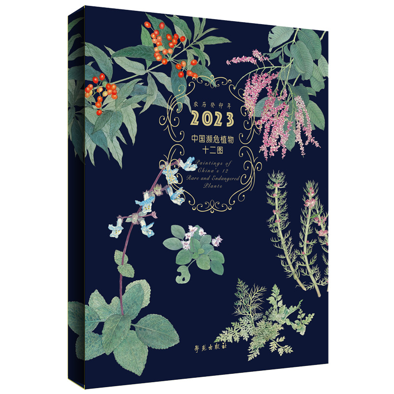 �Ї��lΣֲ��ʮ���D ����݋��2023���_(t��i)�v��