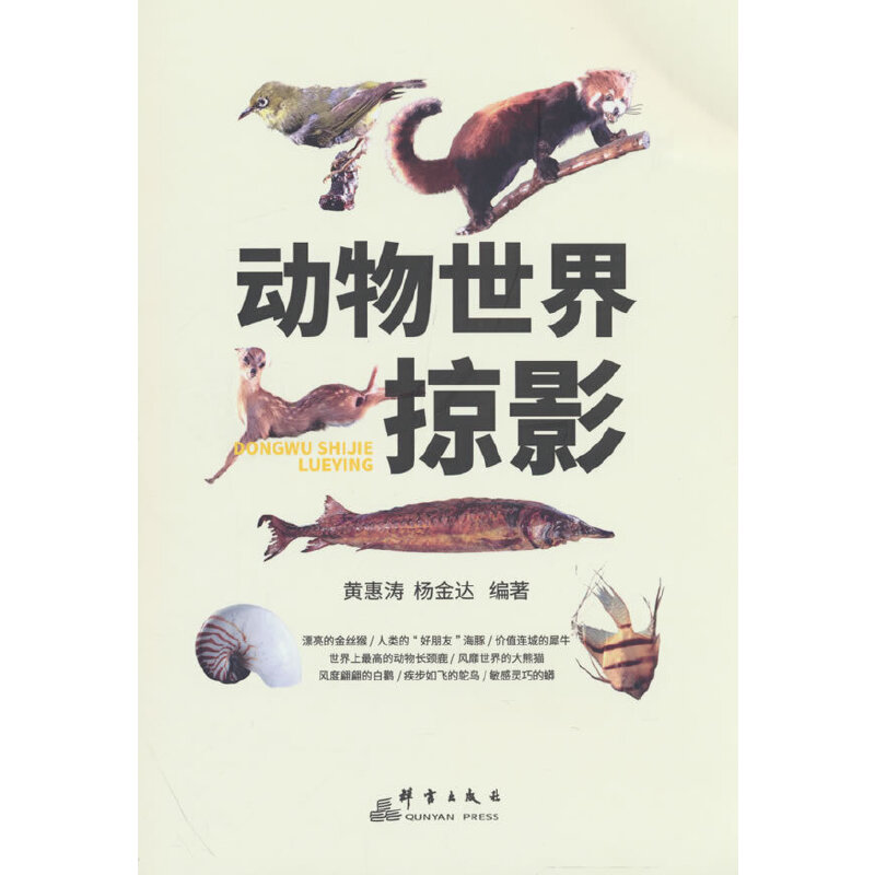 ��(d��ng)��������Ӱ