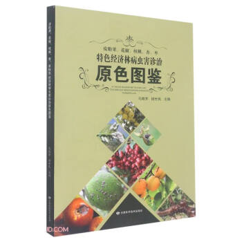 Ƥ̥�������������ҡ���������ɫ��(j��ng)��(j��)�ֲ��x���\��