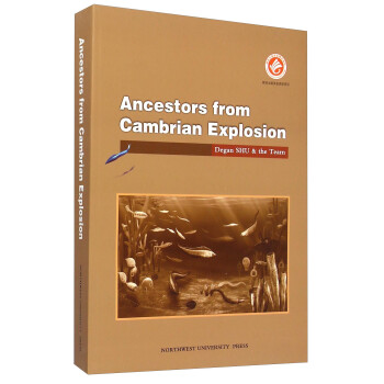 ����󱬰l(f��)�r(sh��)������h(yu��n)�棨Ӣ�İ棩