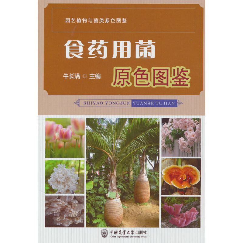 ʳˎ�þ�ԭɫ�D�b