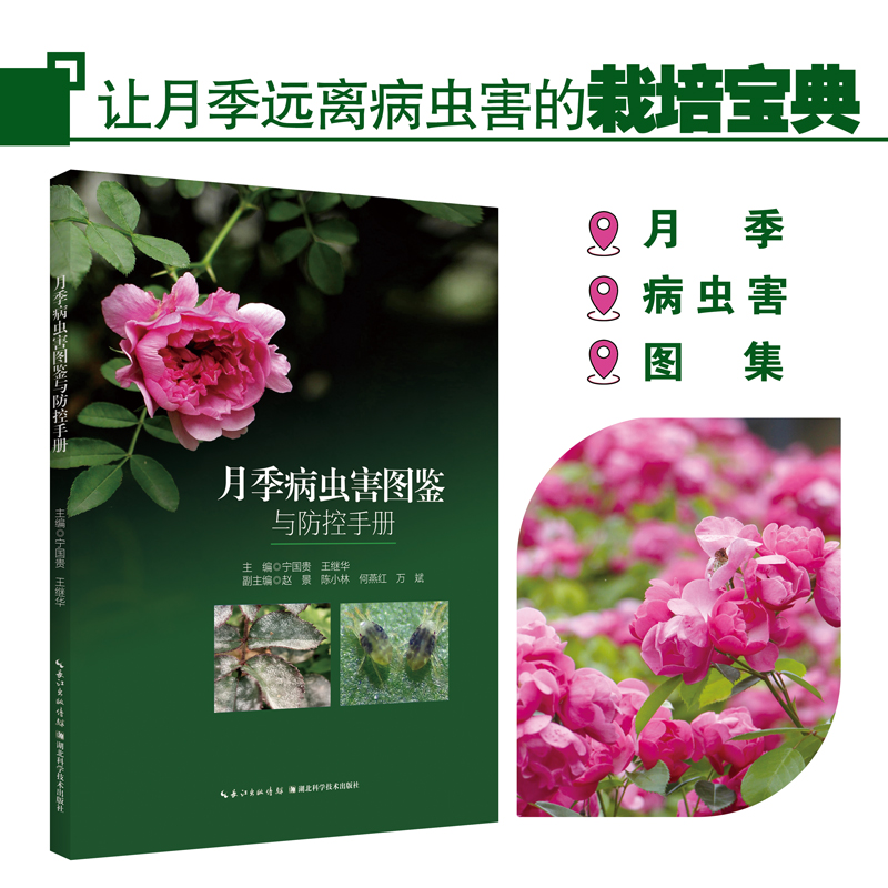 �¼����x���D�b�c�����փ�