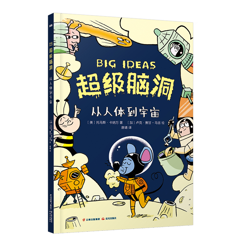 �����X���������w������