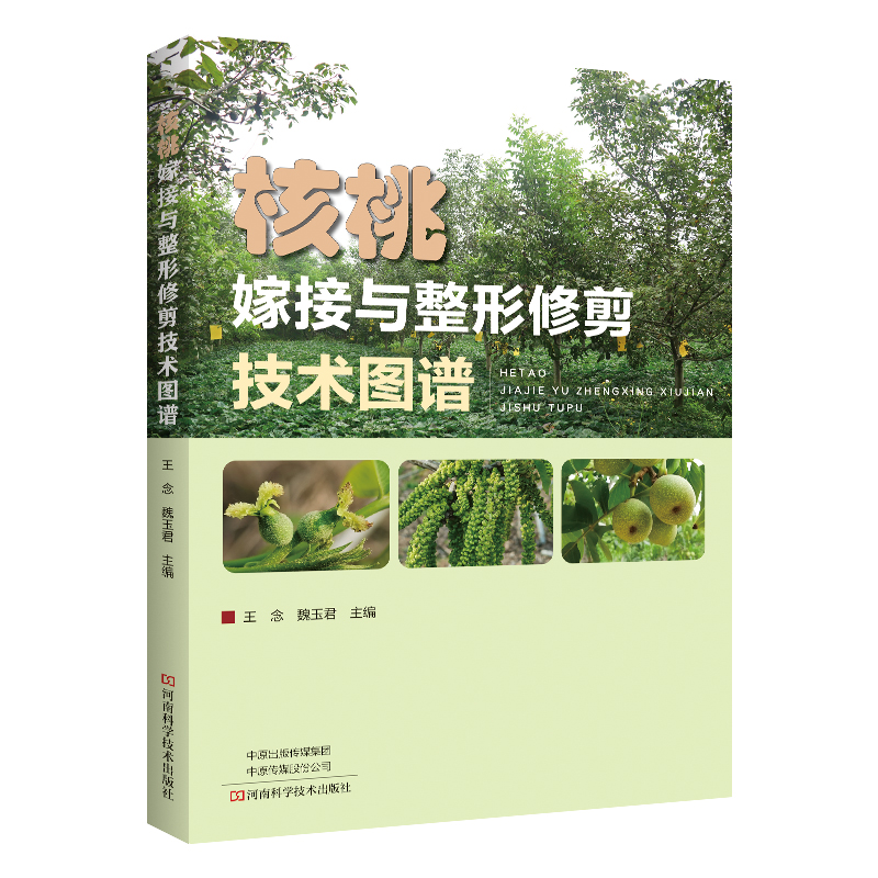 ���Ҽ޽��c�����޼����g�D�V