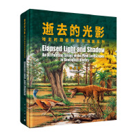 ��ȥ�Ĺ�Ӱ����ʷ�r(sh��)��ֲ�ﾰ�^�ͮ�(hu��)ϵ��