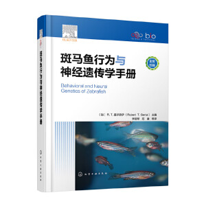 ���R�~�О��c��(j��ng)�z���W(xu��)�փ�