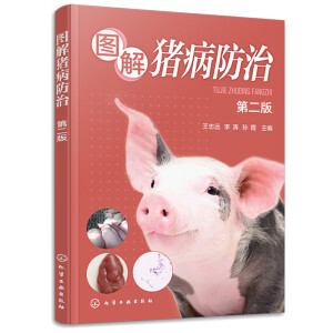 �D���i�����Σ��ڶ��棩