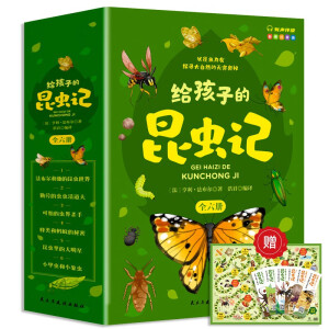 �o���ӵ����xӛ