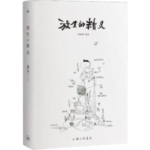 �����ľ��`