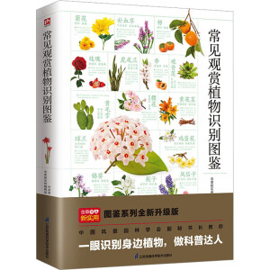 ��Ҋ(ji��n)�^�pֲ���R(sh��)�e�D�b ���x200��N��Ҋ(ji��n)�^�pֲ�� 800��������DƬ �����D��ֲ�：(x��)��(ji��) �����p���R(sh��)�e �B(y��ng)�o(h��)ֲ��