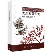 ���B����D�b