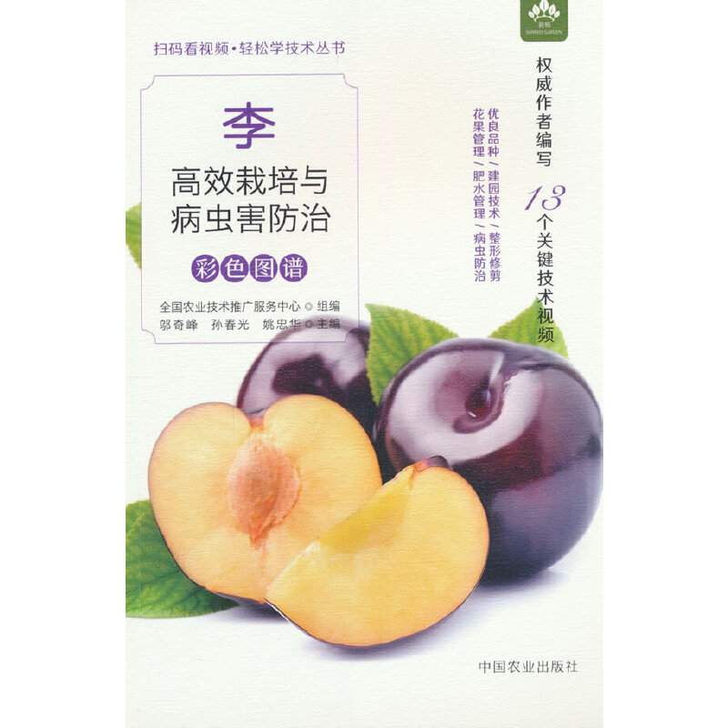 ���Ч�����c���x�����β�ɫ�D�V