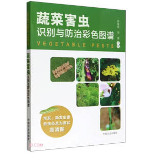 �߲˺��x�R(sh��)�e�c���β�ɫ�D�V