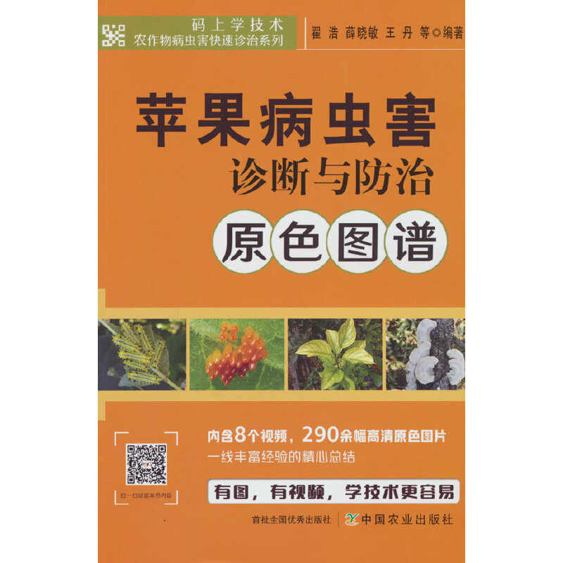 �O�����x���\���c����ԭɫ�D�V