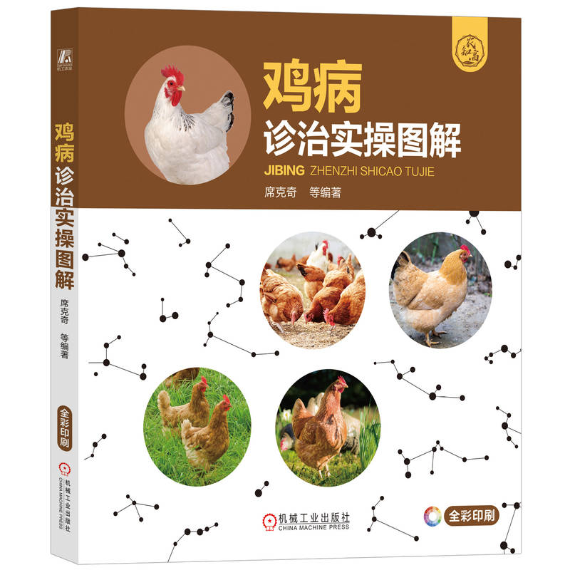 �u���\�Ό��وD��