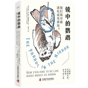 �R�е��W�^