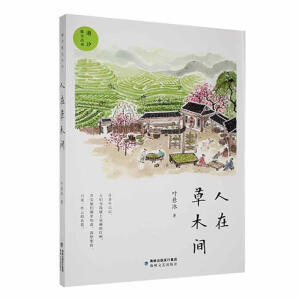 ���ڲ�ľ�g