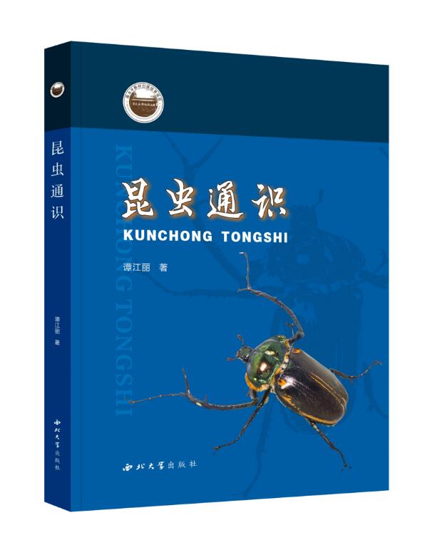 ���xͨ�R(sh��)