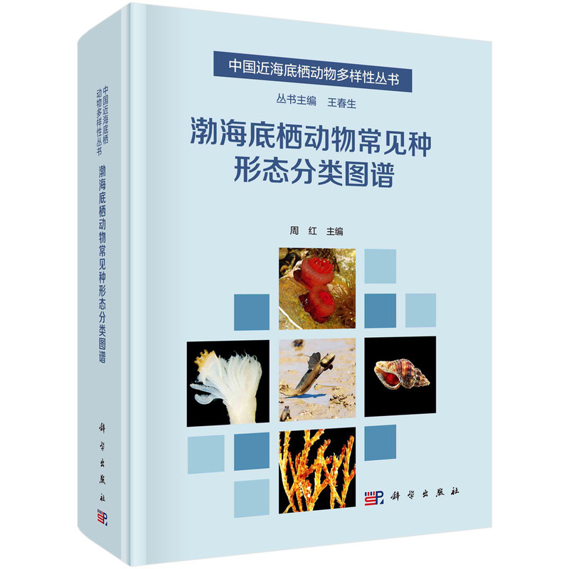 �����ח����ﳣҊ�N�ΑB(t��i)��D�V