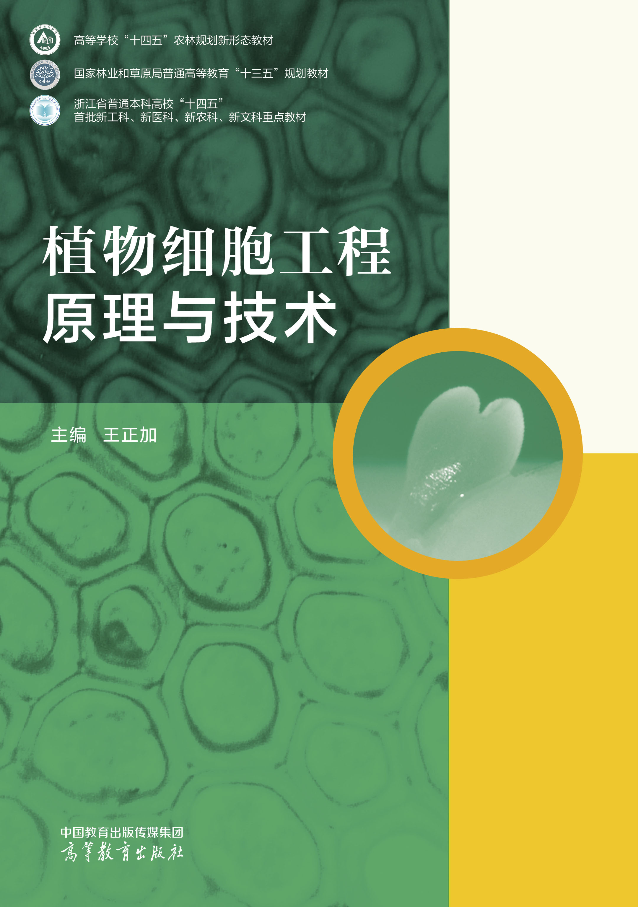 ֲ�：(x��)������ԭ���c���g(sh��)