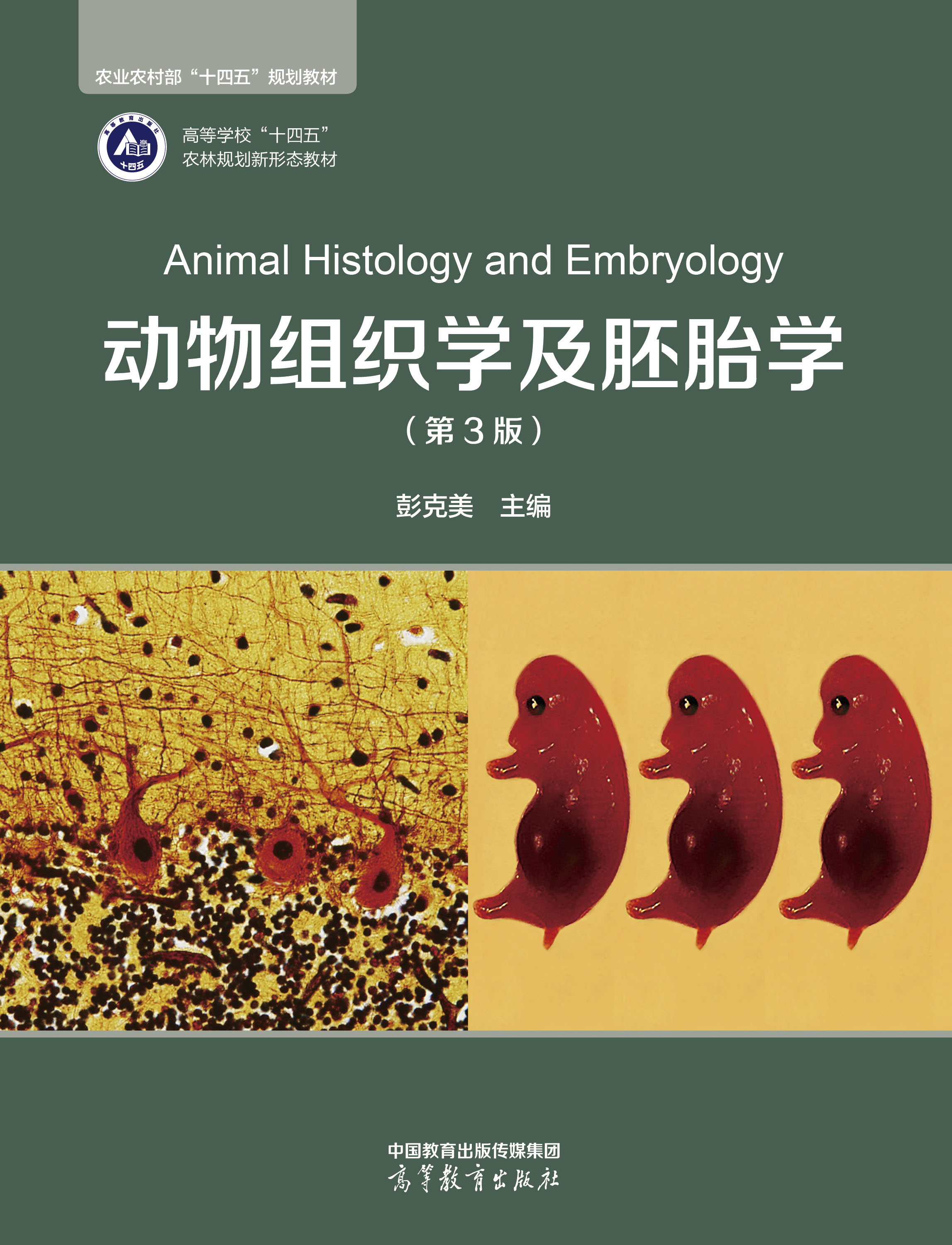 ����M���W����̥�W����3�棩