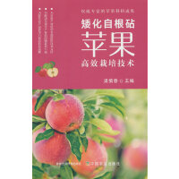 �����Ը����O����Ч���༼�g(sh��)