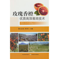 õ����ȃ�(y��u)�|(zh��)��Ч���༼�g(sh��)