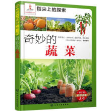 ������߲�